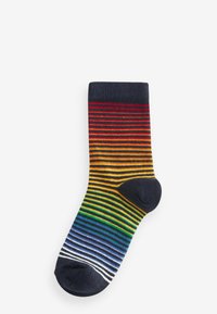 Next RICH 5 PACK - Strømper - rainbow stripe pattern