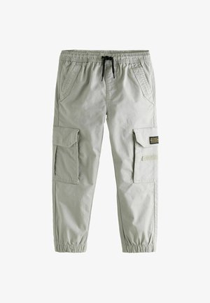 STANDARD - Cargo hlače - grey