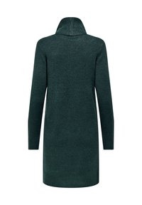 Robe-pull en maille vert foncé à manches longues avec col roulé et poignets côtelés, vue de dos.