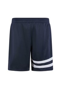 Shorts de bain bleu marine dotés d'une ceinture élastique et de trois rayures blanches horizontales sur le bas, fabriqués dans un matériau léger et lisse.