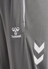 Graue Sporthose mit weißem Hummel-Bienen-Logo am linken Oberschenkel und zwei weißen nach unten zeigenden Chevron-Streifen an der Seitennaht.