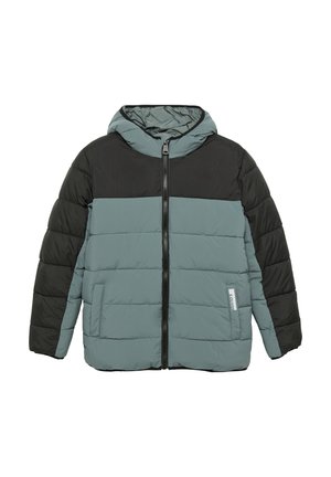 STEPPJACKE - Winterjacke - schiefergrau