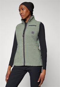 Didriksons LIBRA VEST - Liemenė - light moss