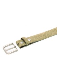 Lichtgroene, gestructureerde riem met een metalen zilveren gesp en drukknoopsluiting. De riem heeft een diagonaal ruitpatroon.