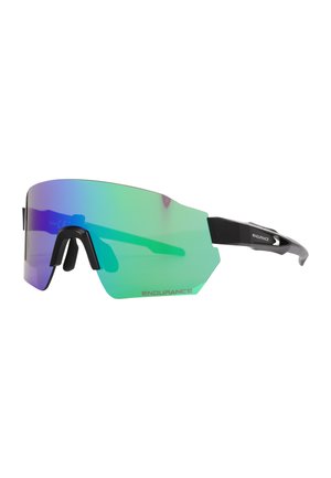 Endurance MATHIEU - Sonnenbrille - various green