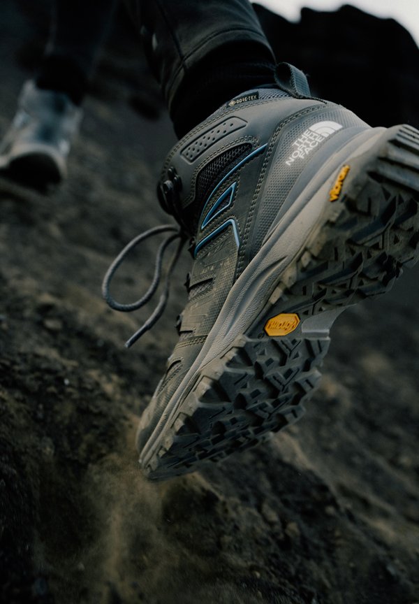 HEDGEHOG MID GORE TEX - Hiking shoes - smoked pearl asphalt gr2