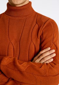 Lindbergh MEGA CABLE ROLL-NECK - Stickad tröja - rust