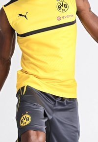 Puma Equipación de clubes - yellow