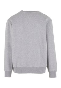 Gray sweatshirt with ribbed cuffs and hem, featuring a round neck and a smooth texture. The design is simple, without additional patterns or accents.