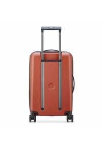 Delsey Paris Trolley - backstein