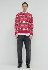 Pull en tricot rouge avec des motifs de ours polaires blancs et noirs et des flocons de neige. Associé à un jean noir et des chaussures noires. Chemise blanche en dessous.