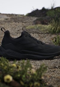 Scarpa da trail running nera con suola robusta su un sentiero di ghiaia circondato da piccole piante verdi e sassi.