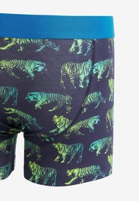 Next PATTERN FOUR PACK - Boxerkalsong - ombre animal