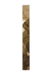 Vertikal, rektangulärt dokument med en texturerad, sepia-tonad design som föreställer abstrakta former. "ATHENS" är tryckt i vitt på sidan.