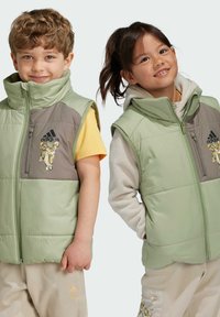 Gilet smanicati imbottiti verde chiaro con dettagli grigi, caratterizzati da una grafica di leone ricamata e chiusura con zip. I bambini indossano outfit coordinati.