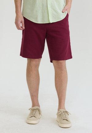 Mężczyzna ubrany w bordowe spodenki, jasnozieloną koszulę na guziki i beżowe trampki stoi z jedną ręką w kieszeni na białym tle.