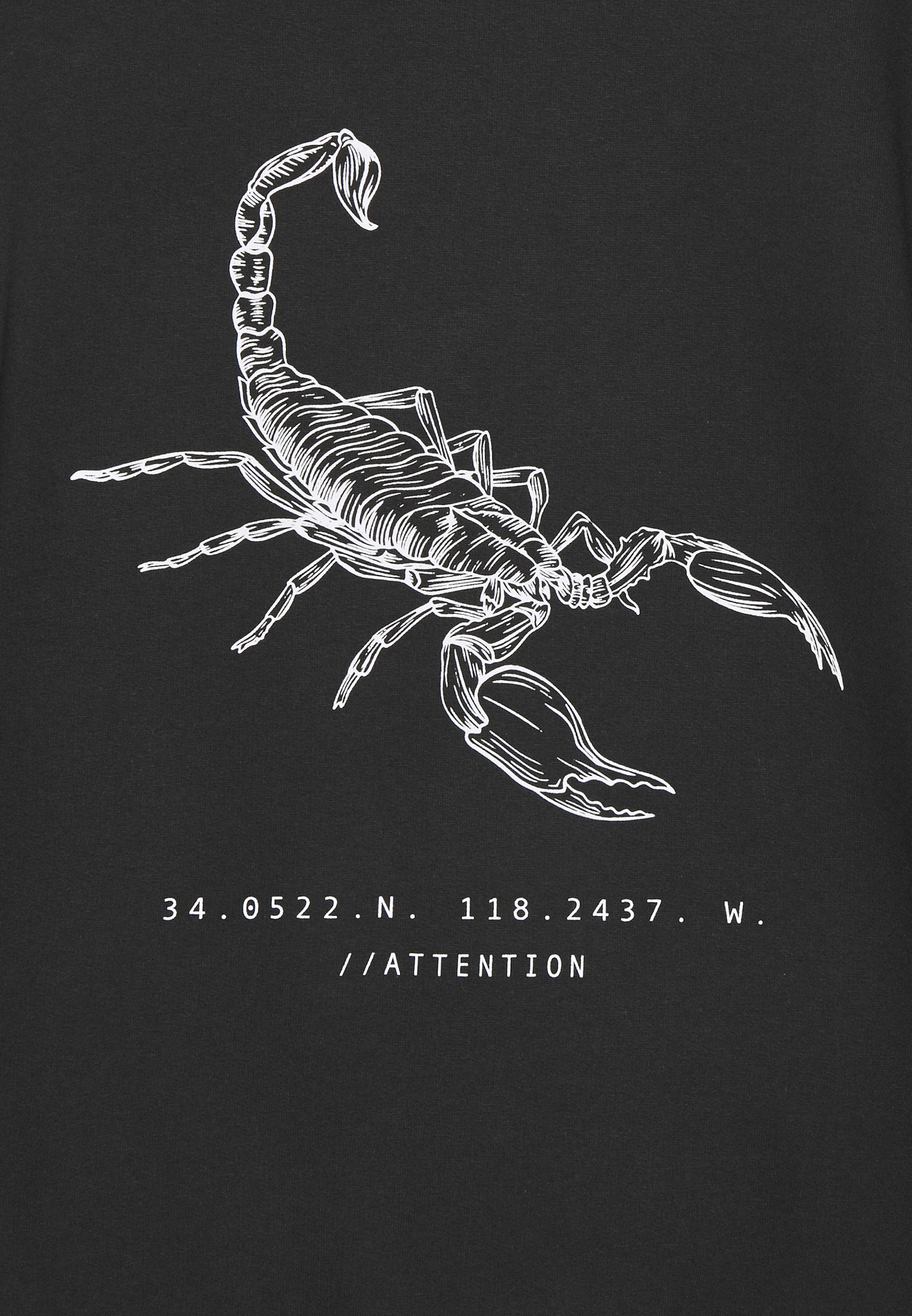 Women UNISEX SCORPION FRONT BACK GRAPHIC - Sweatshirt Women UNISEX SCORPION FRONT BACK GRAPHIC - Sweatshirt