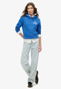 Superdry & Co COOPER TONAL - Jersey con capucha - royal mid blue