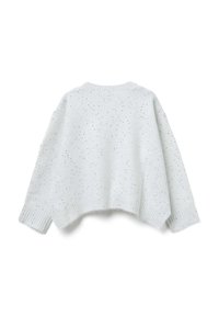 Hellgrauer Strickpullover mit langen Ärmeln und verstreuten kleinen silbernen Pailletten, gerippte Bündchen, Saum und Ausschnitt, von hinten gezeigt.