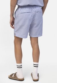 Άνδρας που φοράει μπλε και λευκά κάθετα ριγέ σορτς, λευκές κάλτσες με μαύρες ρίγες και μπεζ σανδάλια, απεικονιζόμενος από πίσω με φόντο λευκό.