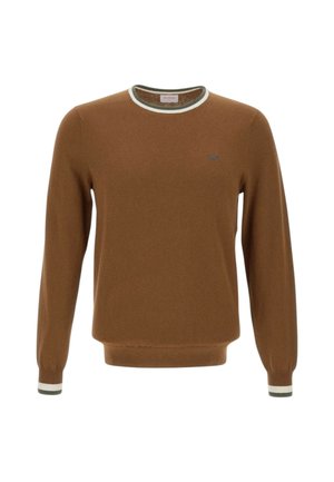 Maglione a maniche lunghe color marrone con colletto e polsi in bianco e verde, piccolo logo ricamato blu sul petto.