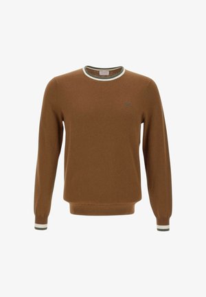 Maglione a maniche lunghe color marrone con colletto e polsi in bianco e verde, piccolo logo ricamato blu sul petto.