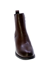 Stivale alla caviglia in pelle marrone con punta affusolata, superficie liscia, pannelli laterali elasticizzati e una linguetta sul retro per un facile indossamento.
