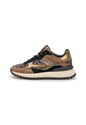 NOPPI  - Baskets basses - taupe