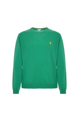 Maglione verde a girocollo realizzato in materiale morbido; presenta polsini e orlo a coste, con un piccolo logo giallo sul lato sinistro del petto.
