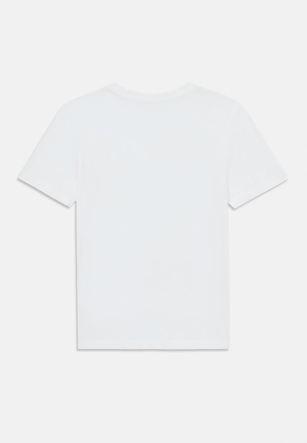 PEARL SIGNATURE REGULAR TEE - Print T-shirt2