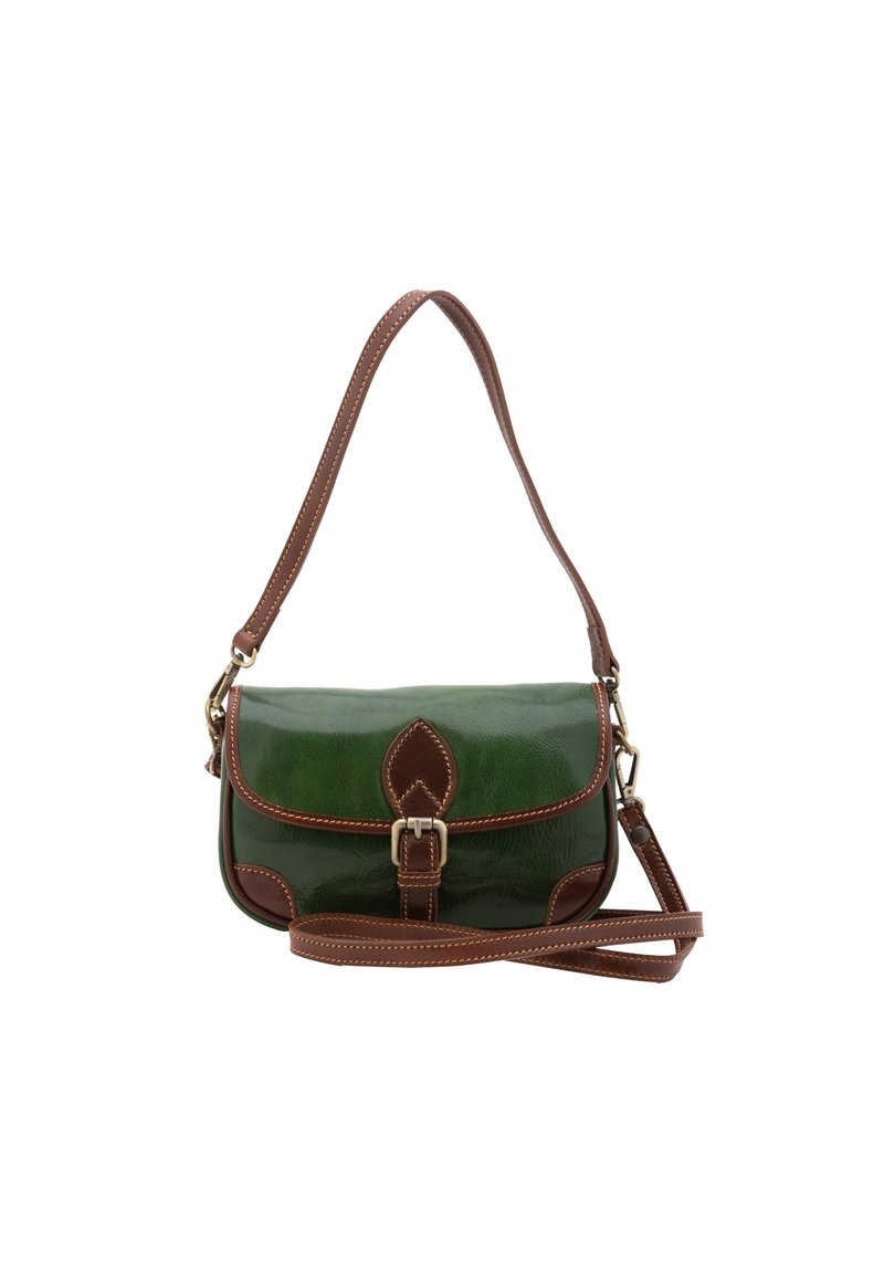 Chiara Ferretti Sac à main green and brown/vert foncé