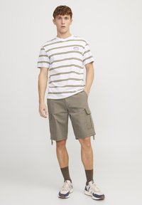 Jack & Jones JPSTCOLE BARKLEY SHORTS - Shorts - bungee cord