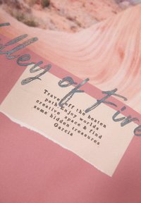 Růžové pozadí s vlnovkovou strukturou; obsahuje stříbrný kurzivní text "Údolí ohně" a bílou obdélníkovou sekci s černým textem.