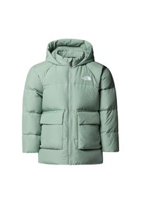 Ei valittu, slate moss