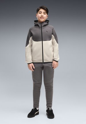 Puma, PUMATECH ELEVATED KAPUZENJACKE - Sudadera con cremallera - silver fog