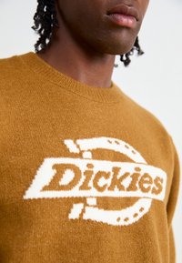 Brauner Strickpullover mit einem großen weißen Logo, das das Wort "Dickies" und grafische Akzente zeigt. Rundhalsausschnitt und weicher Stoff.