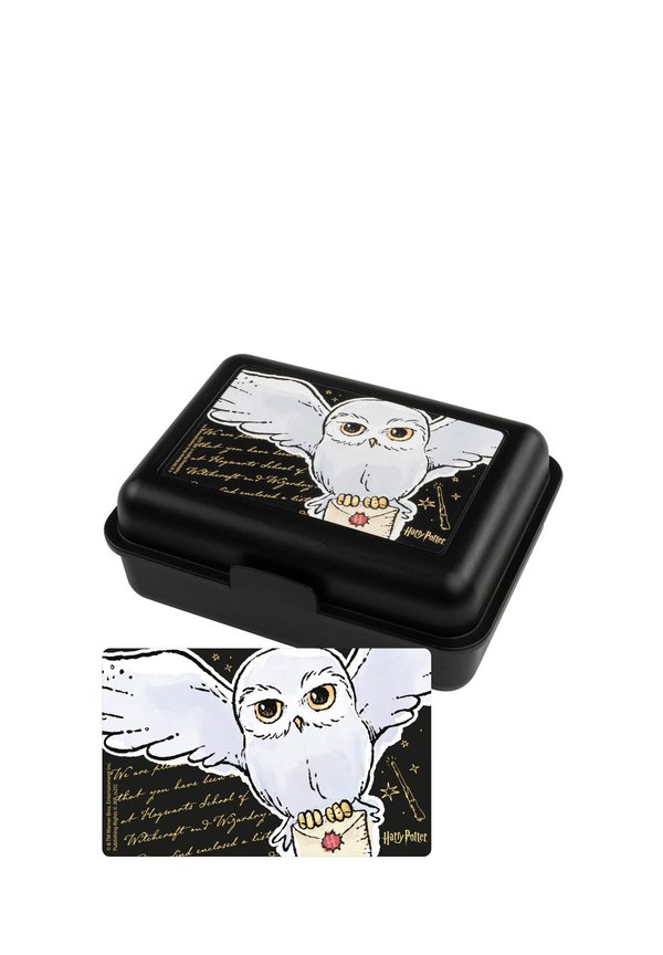 HARRY POTTER HEDWIG EULE MIT TRENNWAND – Brotdose – schwarz