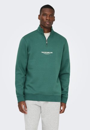 CERES PRINTET REG HALF ZIP - Sweater - mallard green