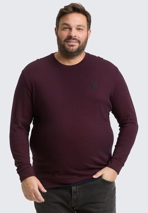 PLUS SIZE MIT LOGO-ABZEICHEN - Longsleeve - red navy grindle structure