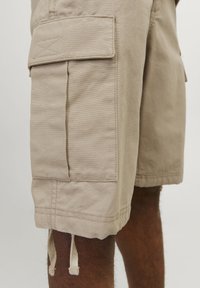 Jack & Jones JPSTCOLE BARKLEY SHORTS - Shorts - crockery