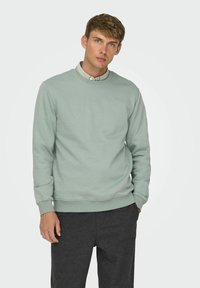 Light green sweatshirt with a round neckline, ribbed cuffs, and hem, paired with dark gray trousers. Smooth texture, casual design.