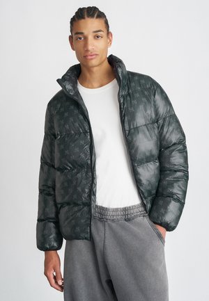 LOGO GLOSS PUFF JACKET - Žieminė striukė - black