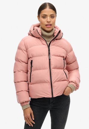 HOODED PUFFER - Winterjacke - ash rose