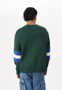 Groene sweater met blauwe en witte strepen op de mouwen, ronde hals en geribbelde manchetten. Zacht materiaal, relaxte pasvorm.