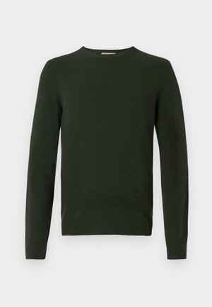 Dunkelgrüner Strickpullover mit langen Ärmeln, Rundhalsausschnitt und glatter Textur. Keine sichtbaren Muster oder Hardwaredetails.