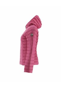 JOTT CLOE - Chaqueta de plumas - rose