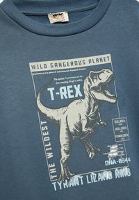 Camiseta de algodón azul con un estampado gráfico de un T-Rex, que incluye detalles como texto sobre el dinosaurio y medidas en un color claro.