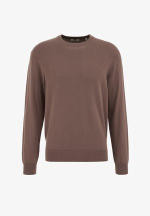 Pruunis toonis pehme kangaga ümara kaelusega kampsun, millel on pikad varrukad ja soonikkoes varrukaotsad, lihtsa ja sileda tekstuuriga, nähtavate mustriteta.