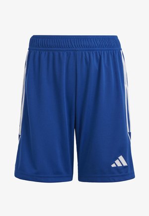 Blaue Sportshorts mit einem elastischen Bund, ausgestattet mit weißen Seitenstreifen und einem weißen Logo auf der unteren rechten Seite. Glatte Textur.