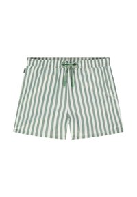 THYME STRIPED - Surfshorts - green